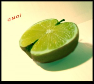 What is a GMO What is a GMO
