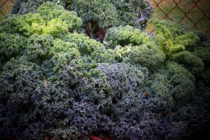 recipes with kale- modern monk life recipes with kale- modern monk life