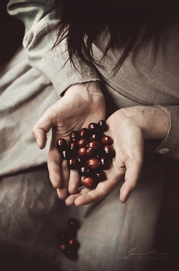 cranberries_by_catliv-d36k8nu