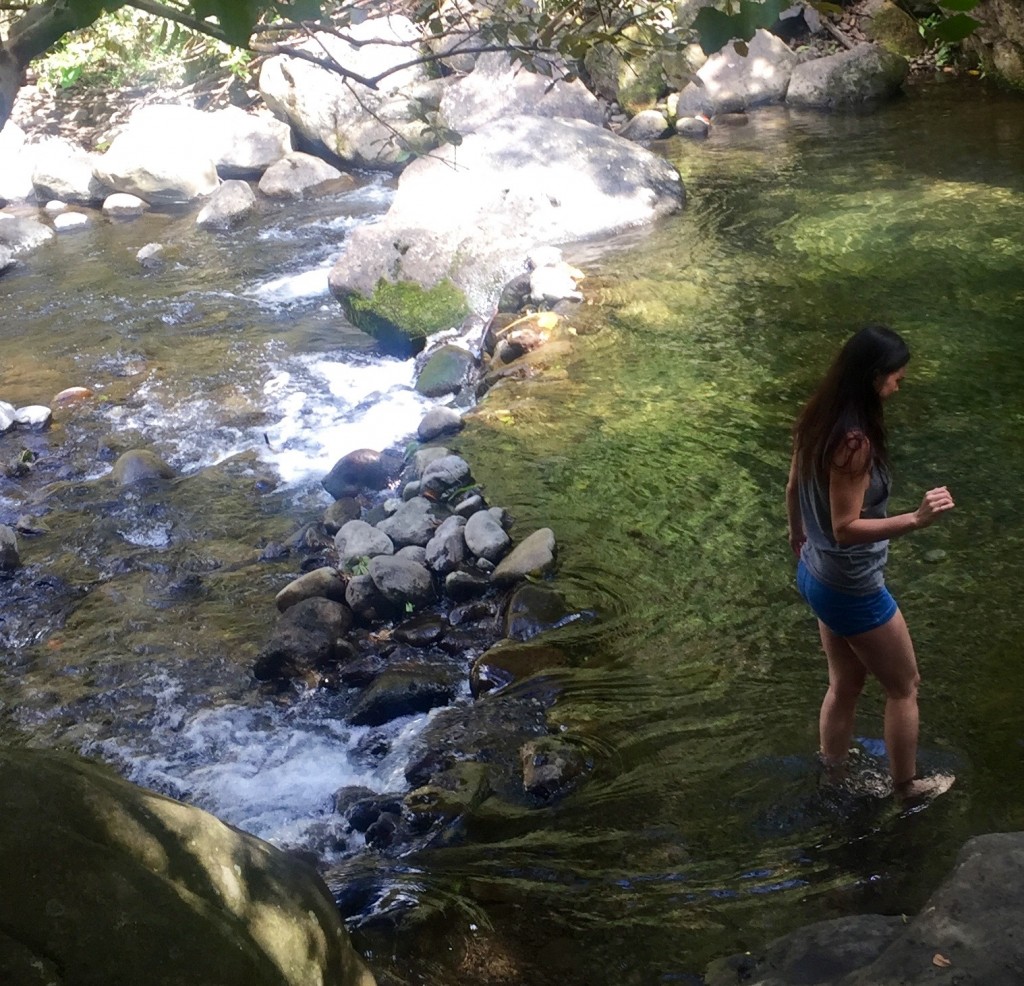 travel-blog-maui