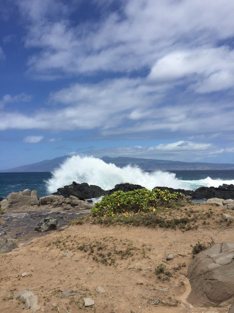 travel-blog-hawaii-modern-monk-life